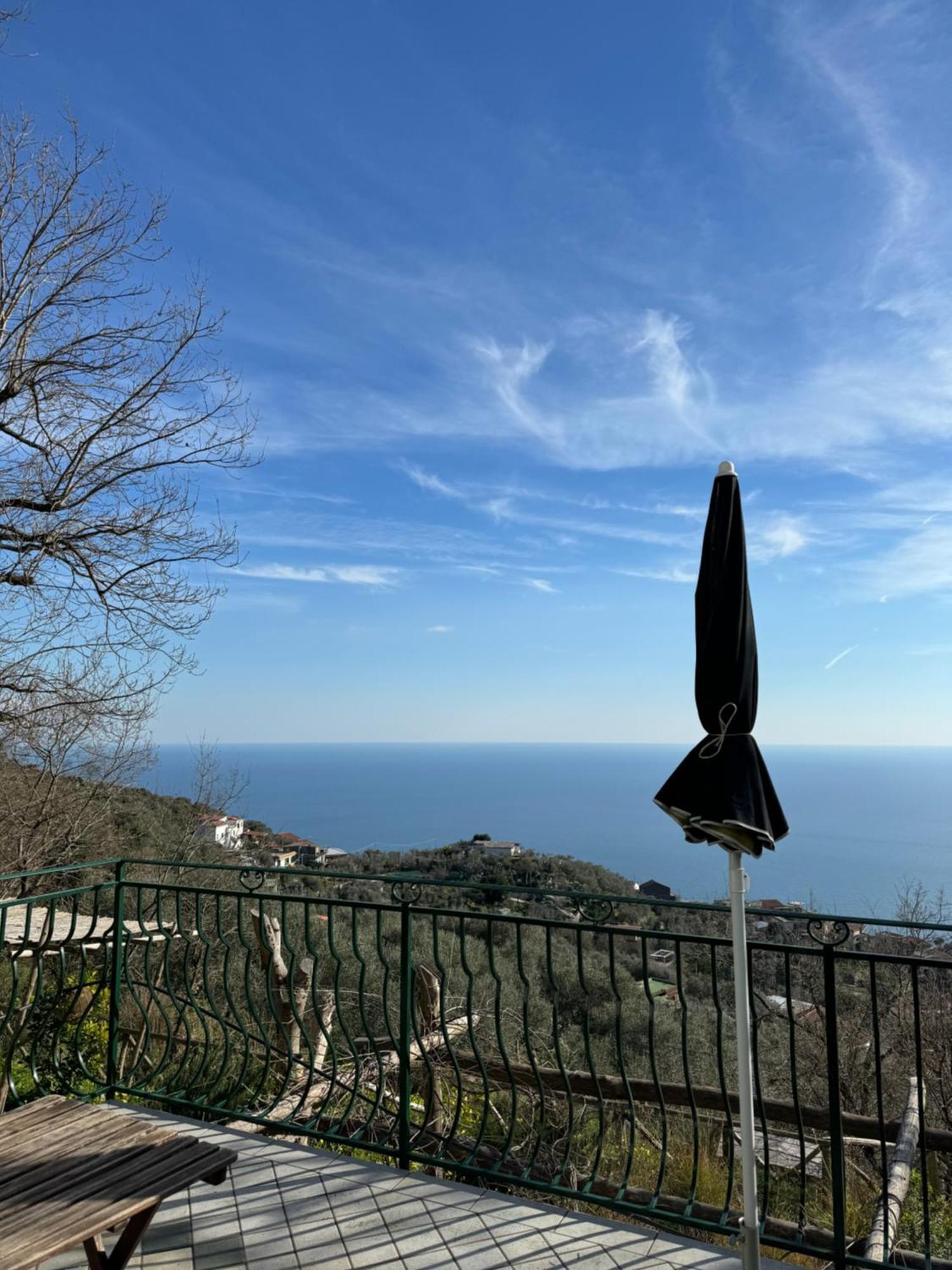 Groove'N'Grove Bed & Breakfast SantʼAgata sui Due Golfi Eksteriør bilde